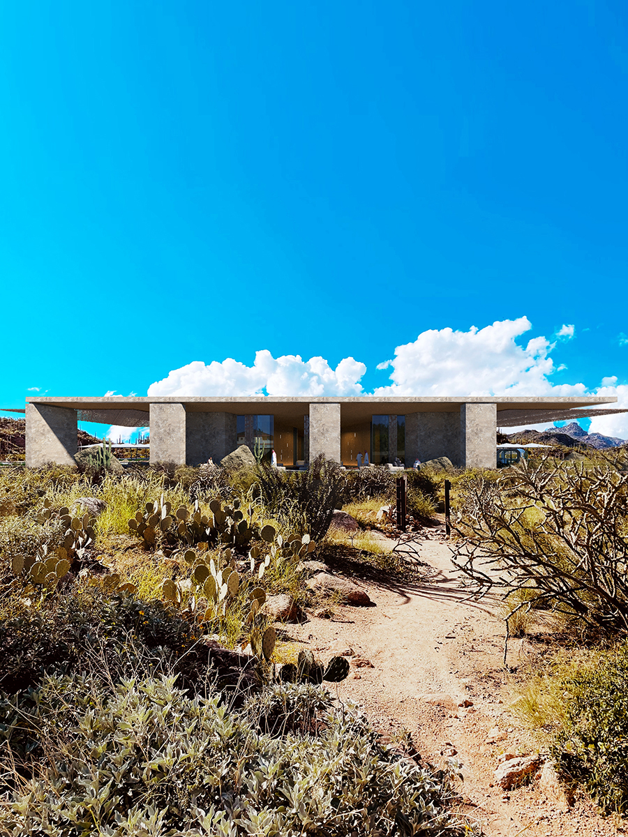 The stones in the desert